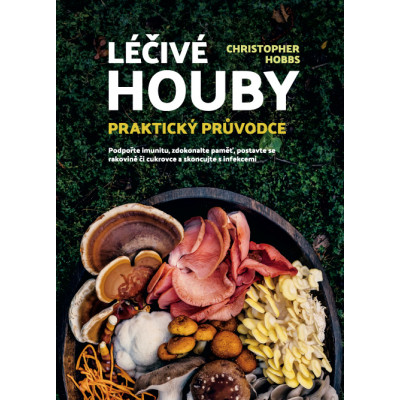 Léčivé houby – Praktický průvodce